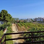 Lagioia 1 Villa Bari